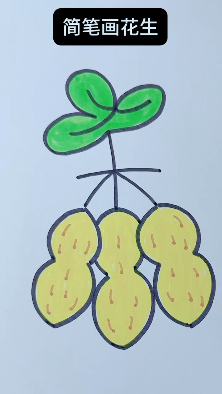 "木"字简笔画花生