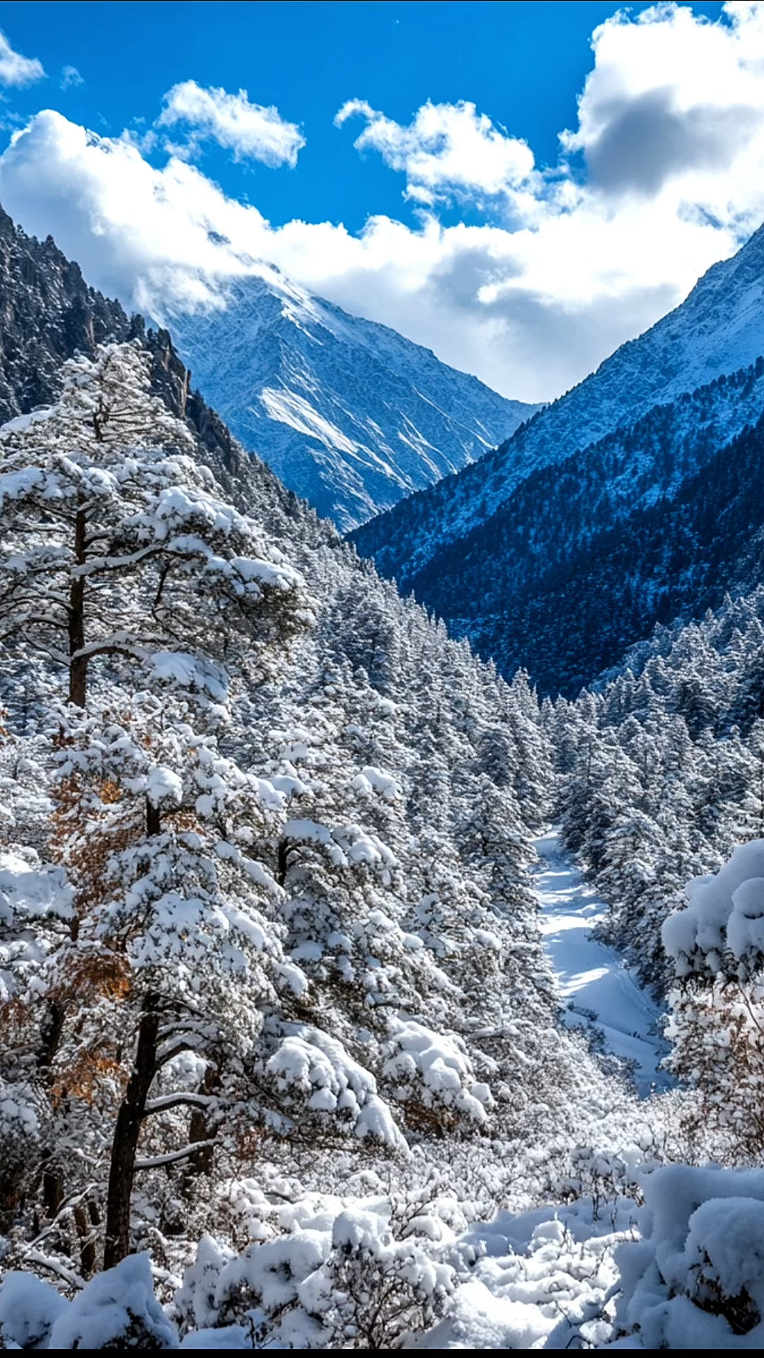登上雪山之巅,领略冬日绝美风光,与大自然共舞,冬日不再寒冷