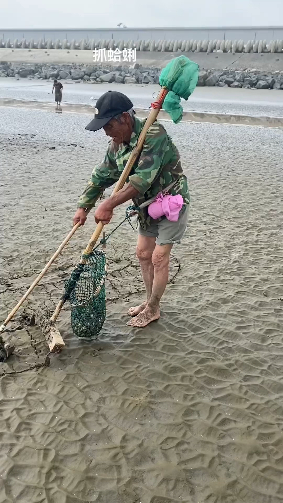 曹妃甸溯河大桥下挖蛤图片