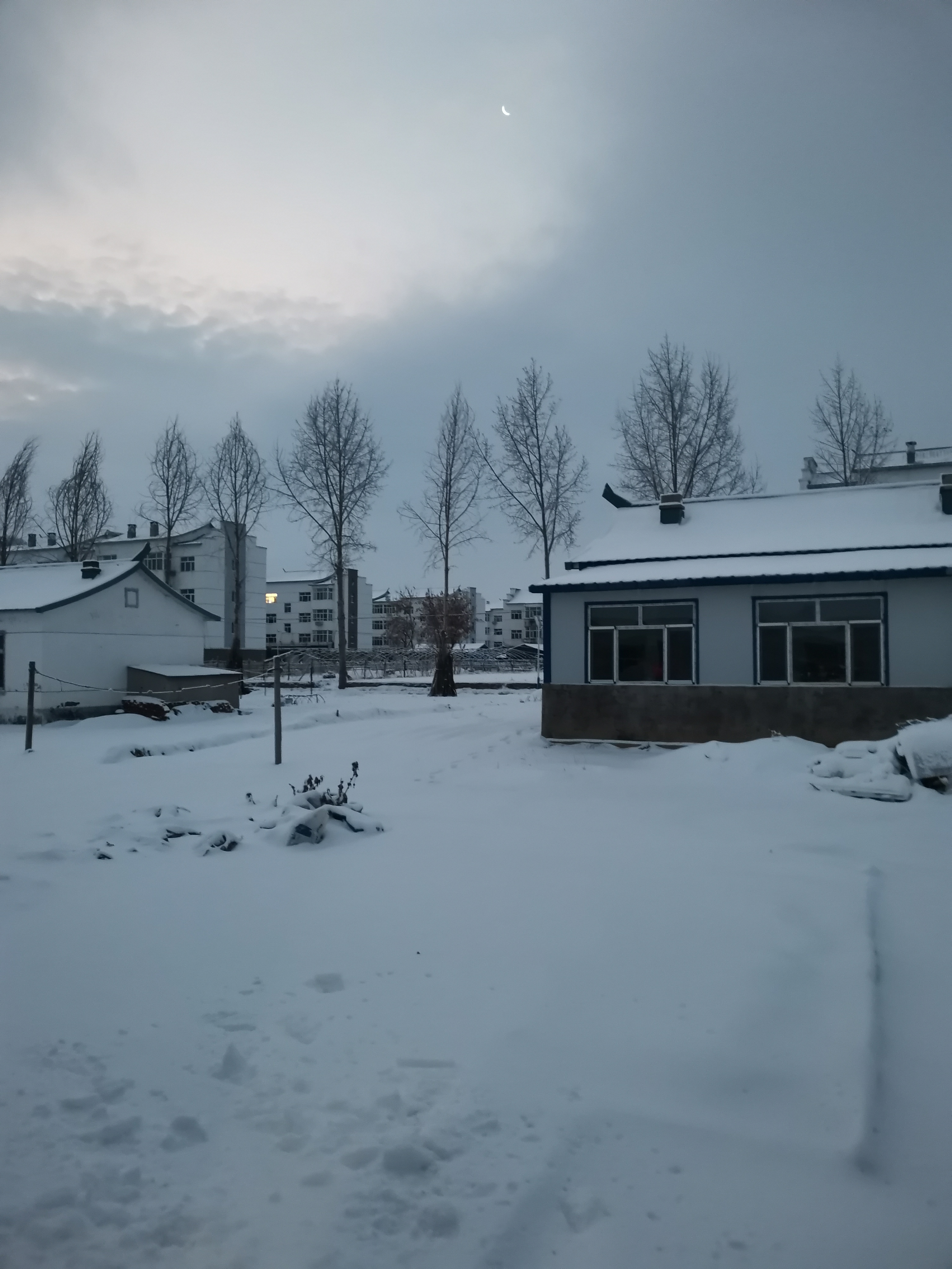 雨夹雪转中雪图片图片