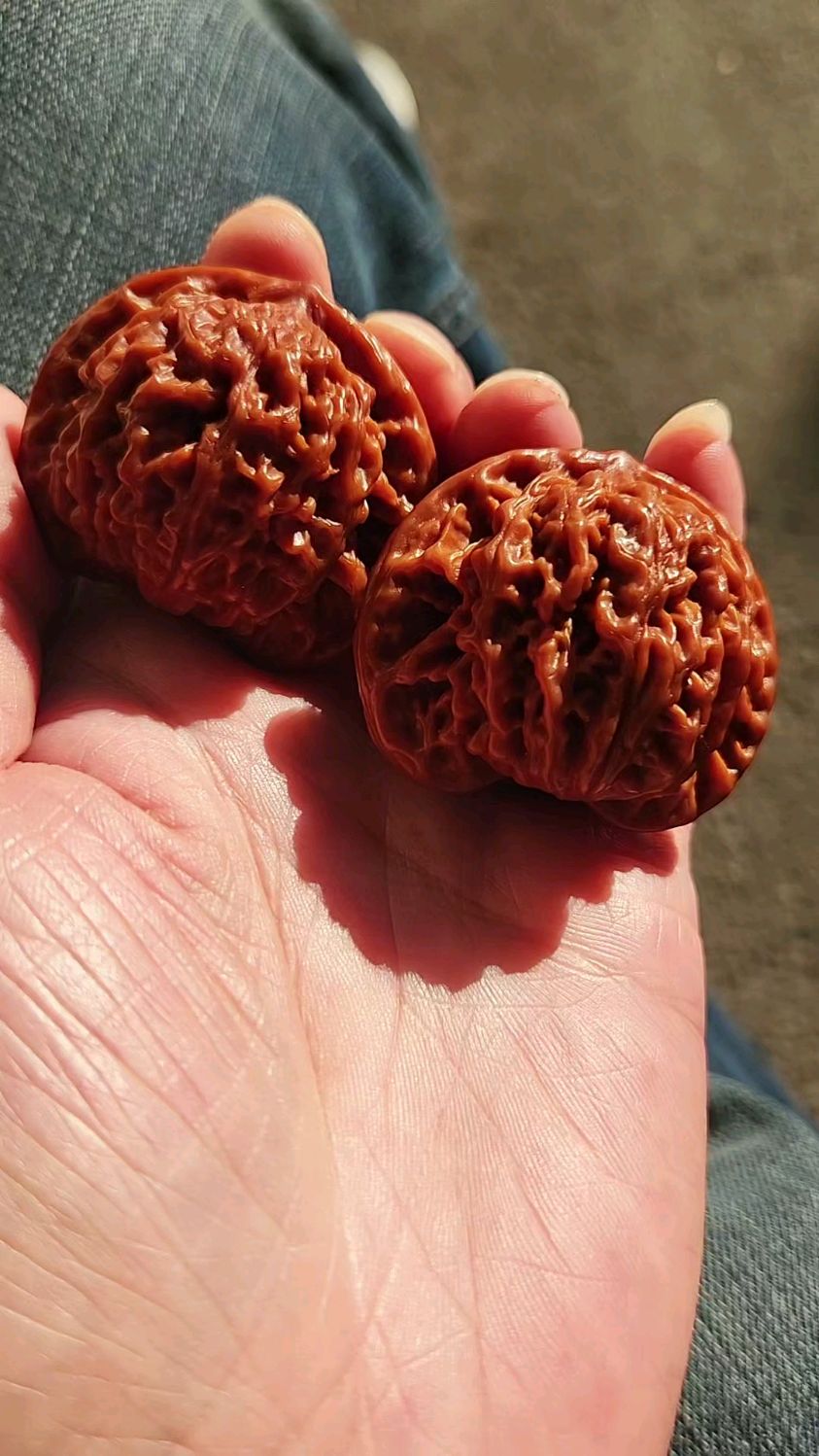 全品无修盘龙纹核桃,阳光下真漂亮