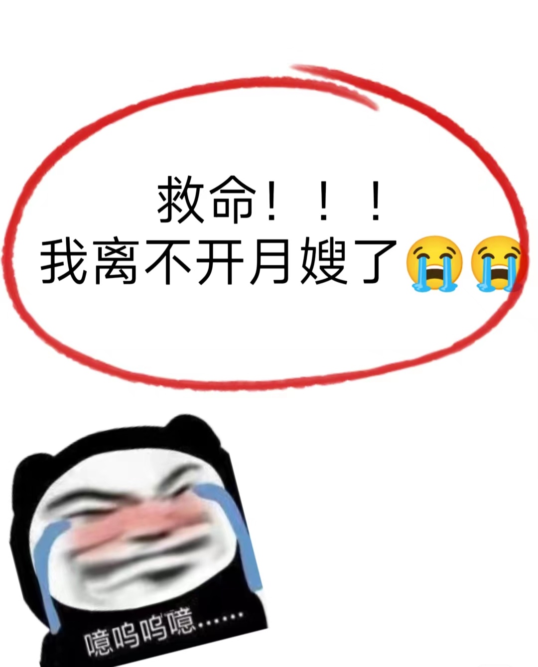 月子结束了,照顾我四十多天的月嫂阿姨要下户了,阿姨把洗澡,抚触,换