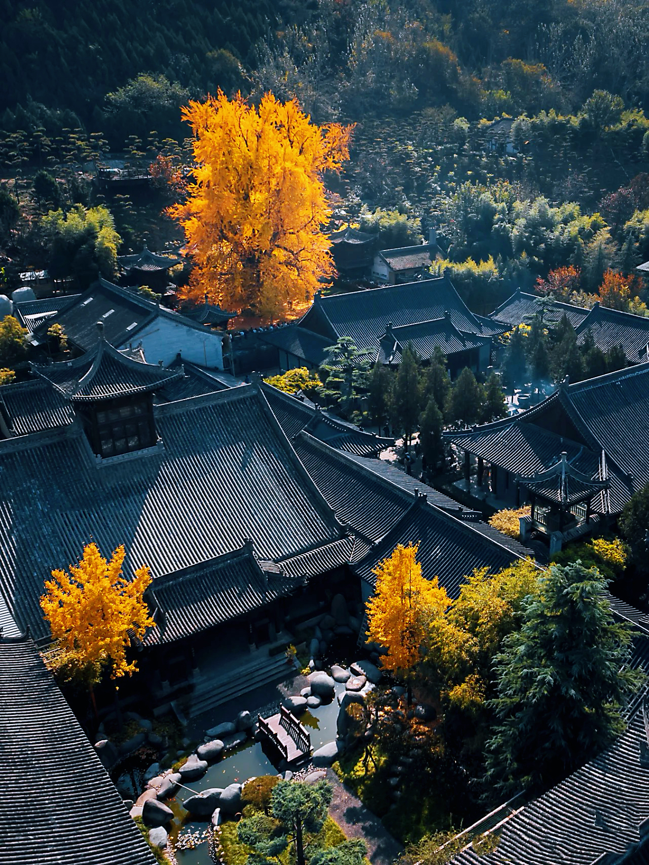 西安古观音禅寺图片