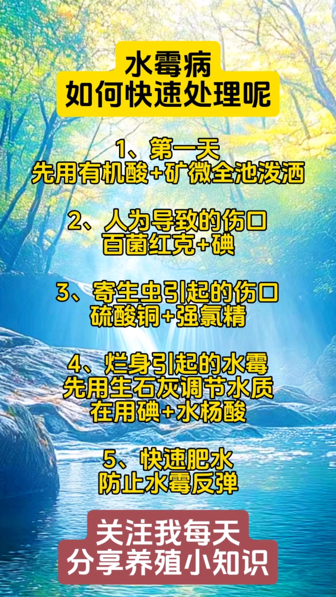 水霉病怎么治最快图片