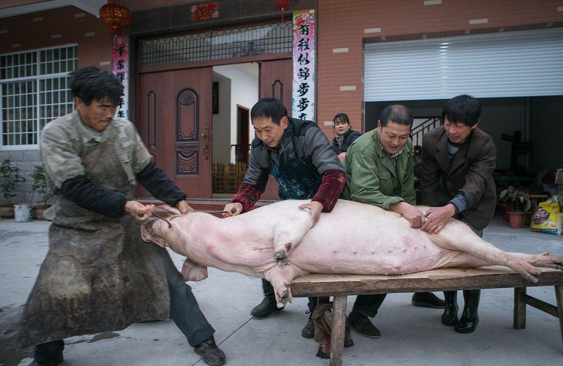 眼看着农历十一月初五已经过去,距离过年也仅剩一个多月