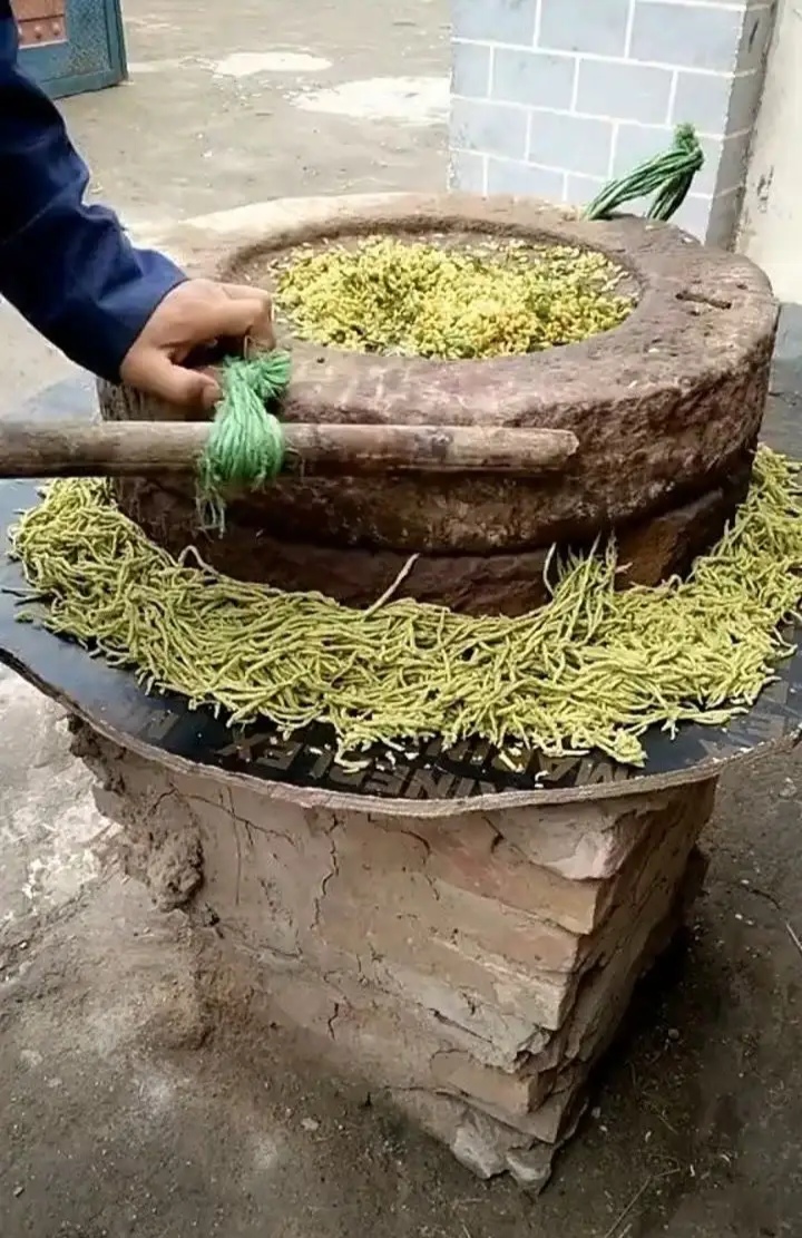 青色的麦粒,浆汁饱满,老石磨上一碾,自然搓成细条,霎时间麦香四溢
