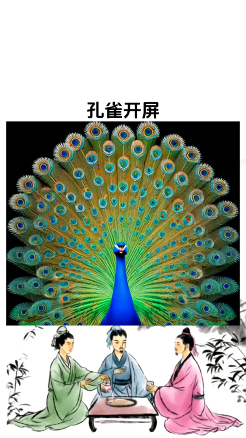 怎么能让孔雀开屏