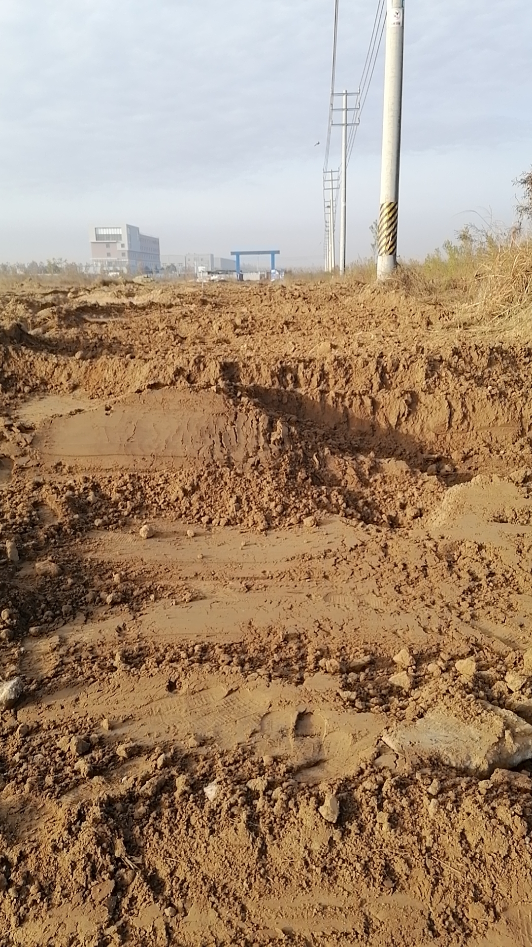 为理想而努力 沙 #动态连更挑战#