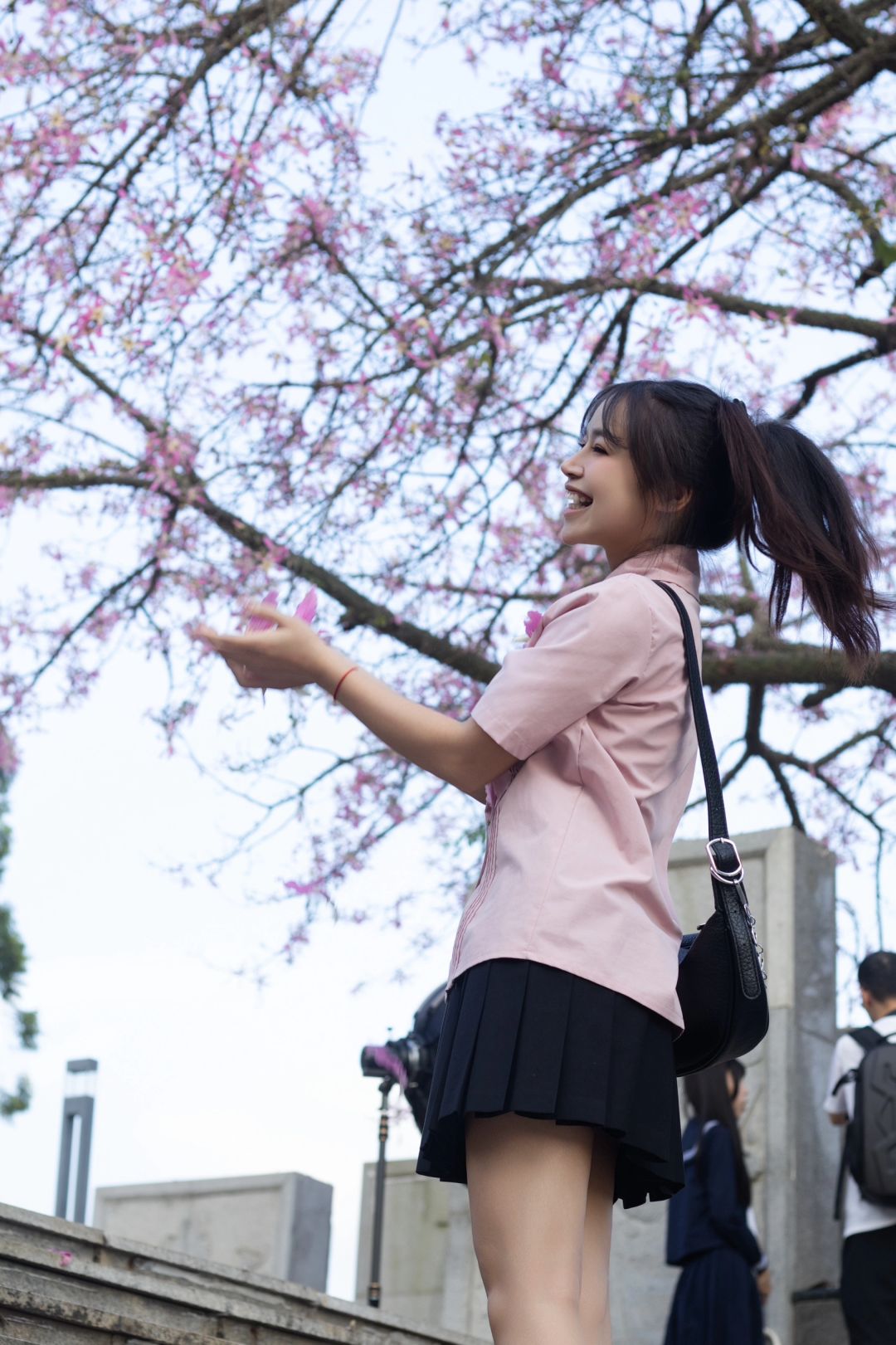 巢湖学院校花图片