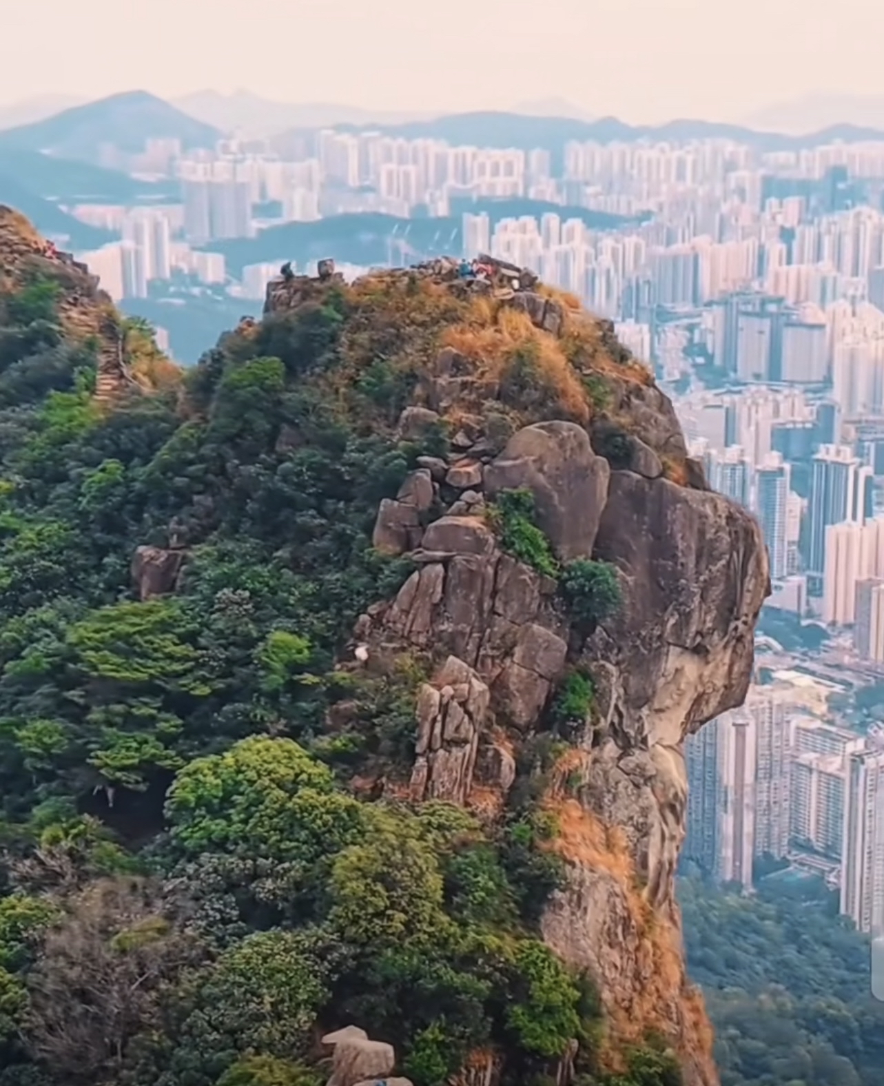 这只猛虎虎视眈眈