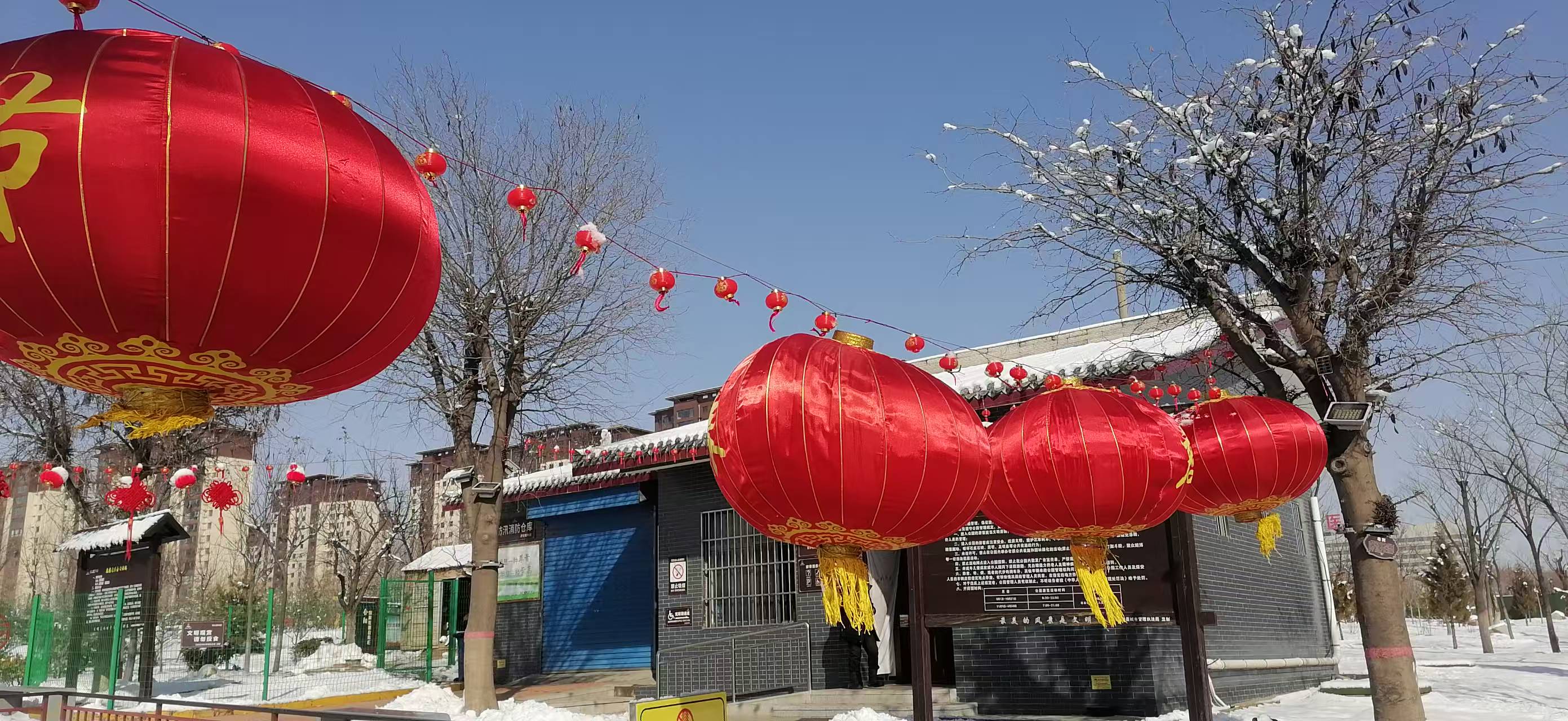 陕西合阳天气今日情况