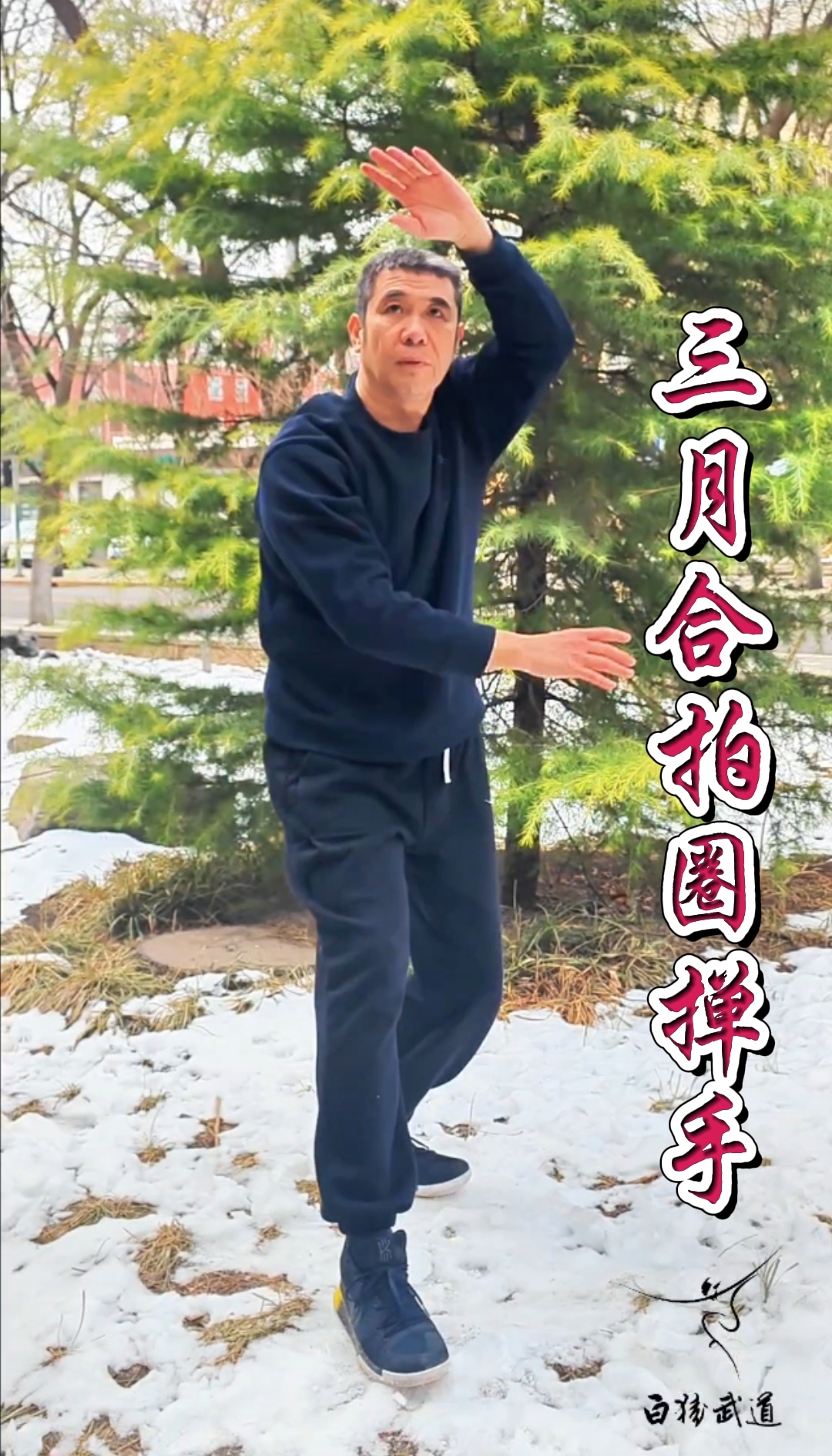 张广德养生太极掌背向演练(张广德养生太极掌第一套正面演示)