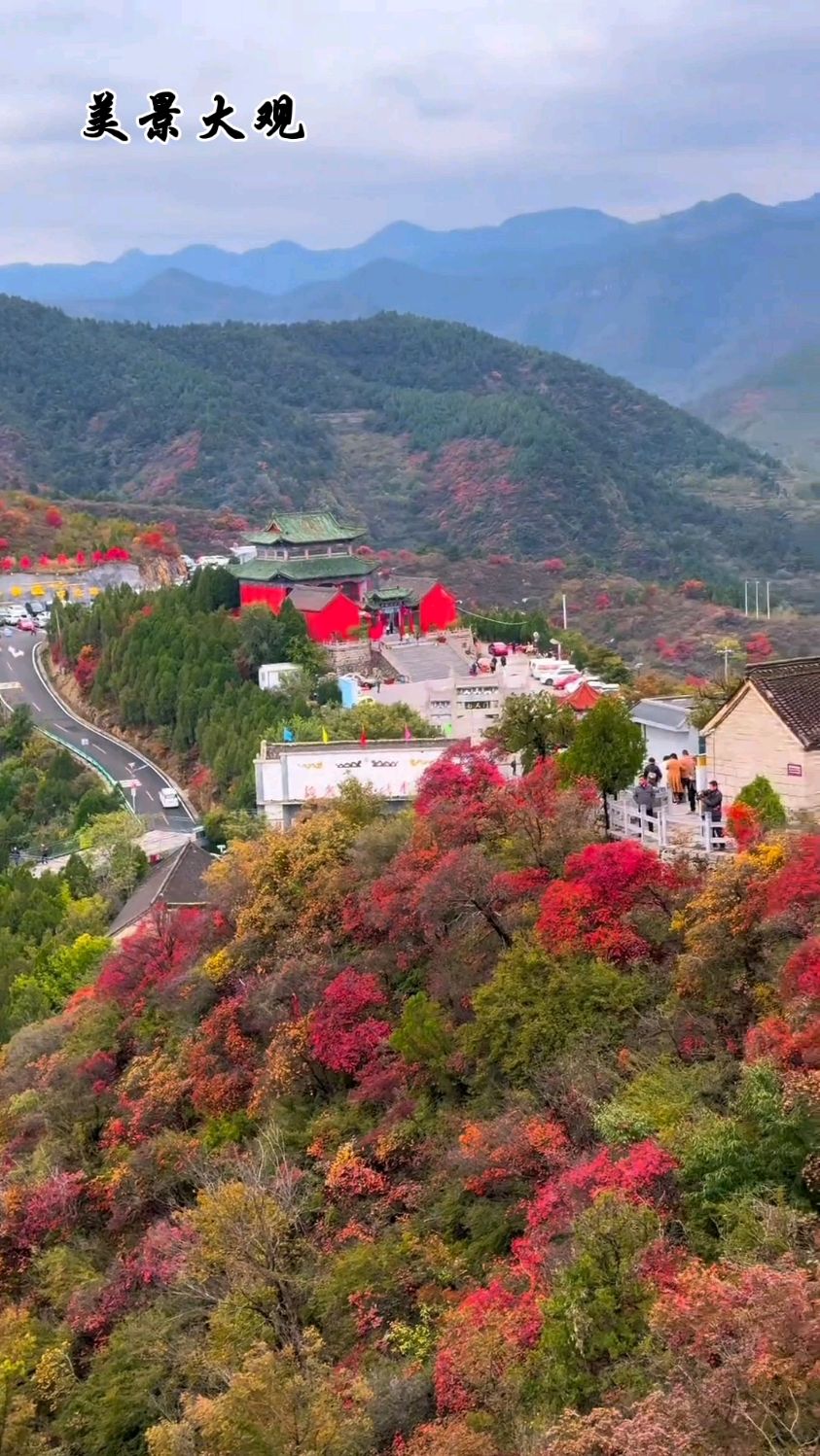 林州柏尖山,红叶盛宴,层林尽染如画中仙,美得让人心动不已