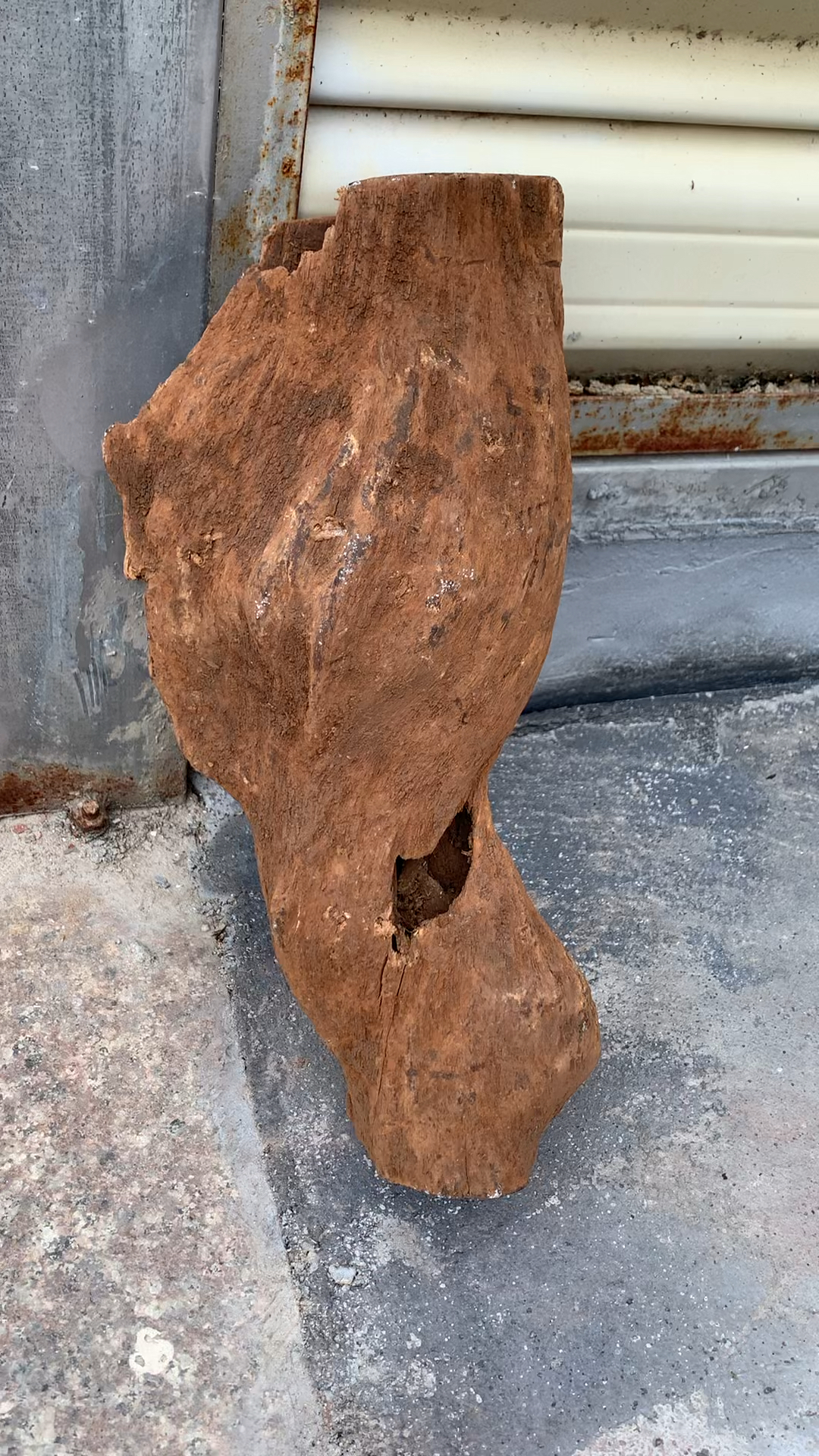 巴布亚贡木沉香原木造型料,偏莺歌绿,适合加工倒流香工艺品摆件