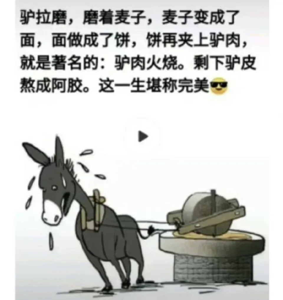 驴:没有磨坊哪有家.没有磨坊,我什么都不是!