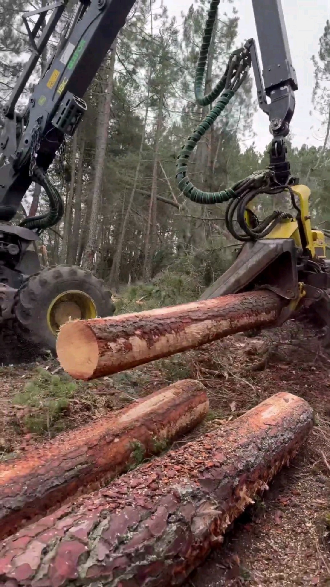 伐木利器,自动伐木机