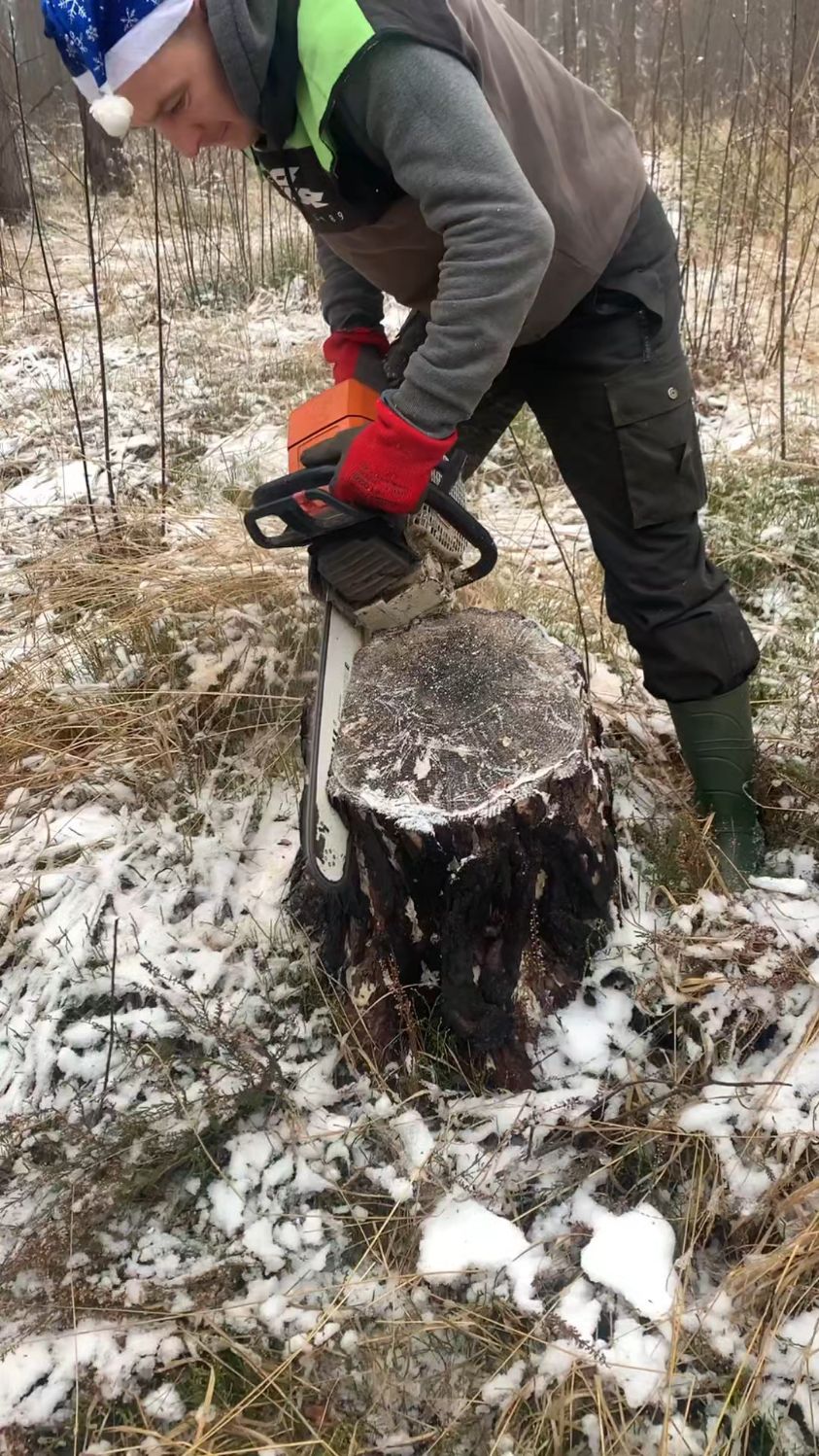 伐木工的凳子,在雪地伐木