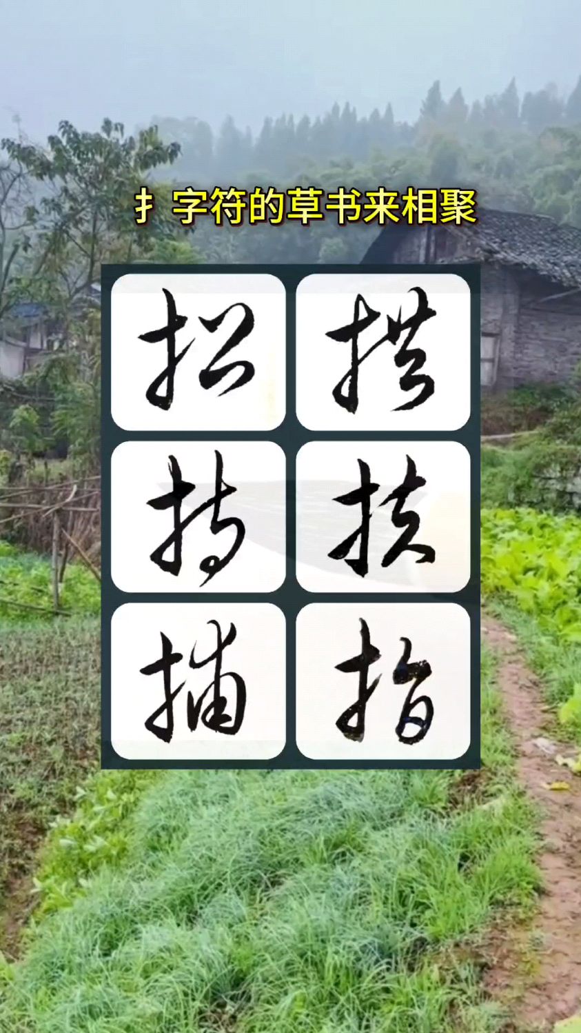 扌字符的草书来相聚,招持捕等字的写法