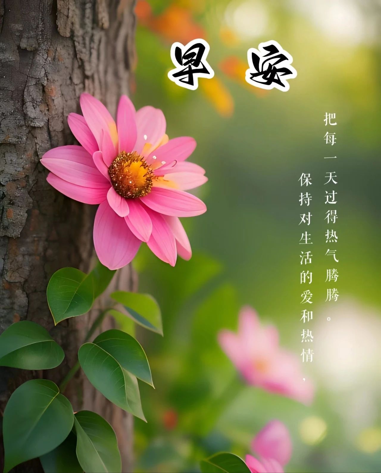 早安图片 清新早安清新图片清新早安图片早安清新图片