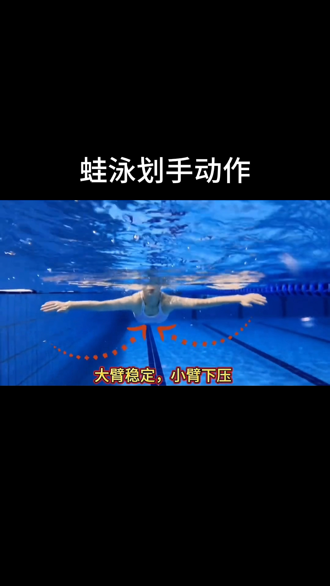 蛙泳划手的动作分解练习