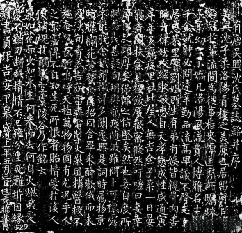 两年前,关中和河东一带就已频遭蝗灾与饥馑