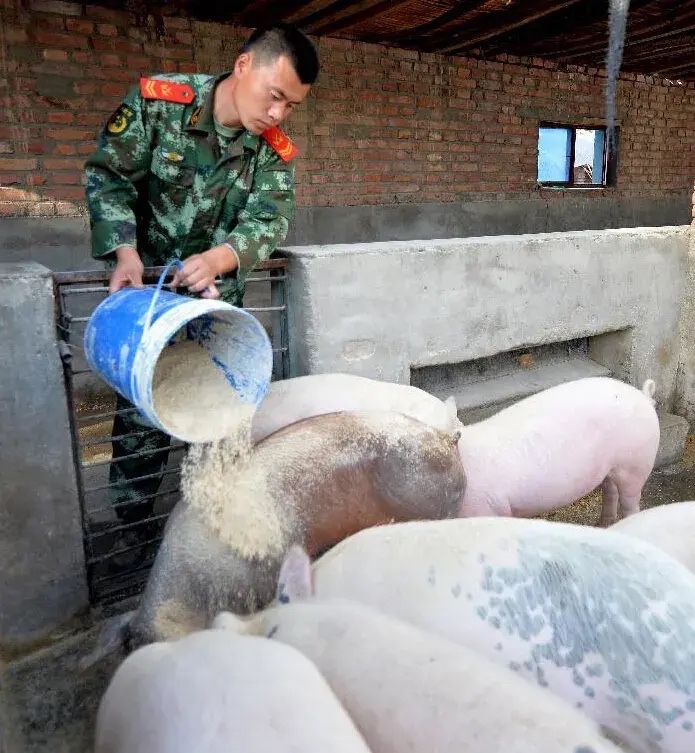 牧原养猪工人图片