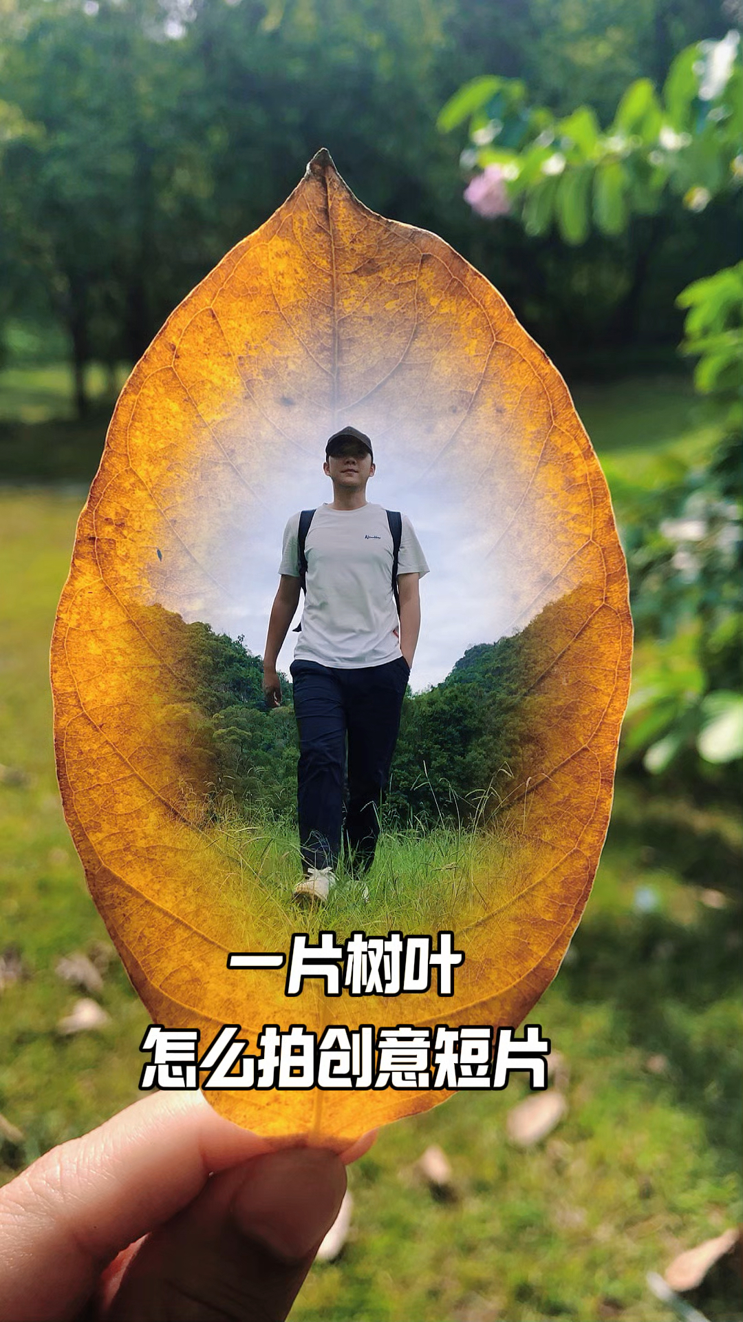 抖音博主叶子=抖音叶子是哪个公司的
