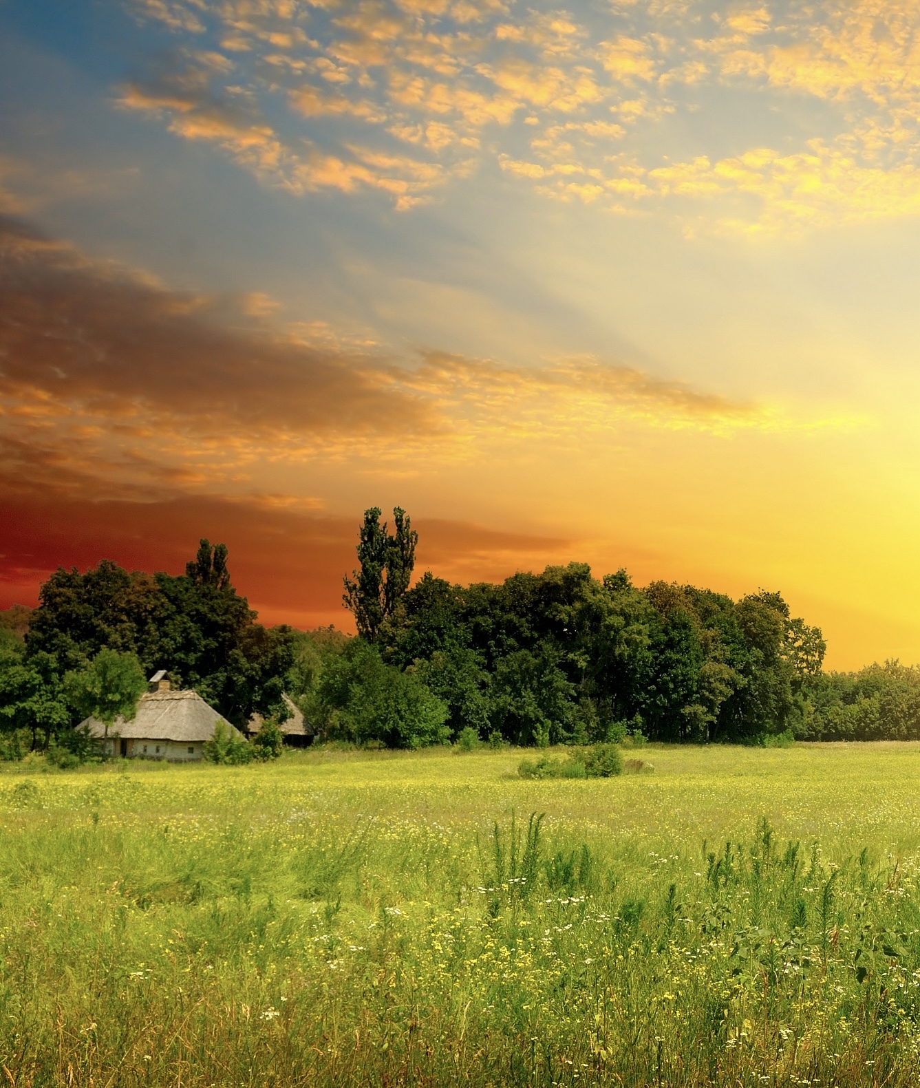 逆风翻盘:阳光万里,鲜花盛开,未来闪闪发光的秘密