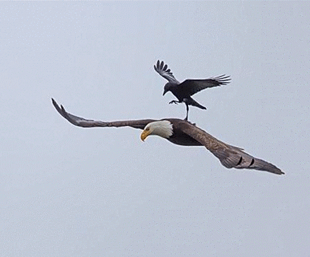 那场面真的是震撼人心