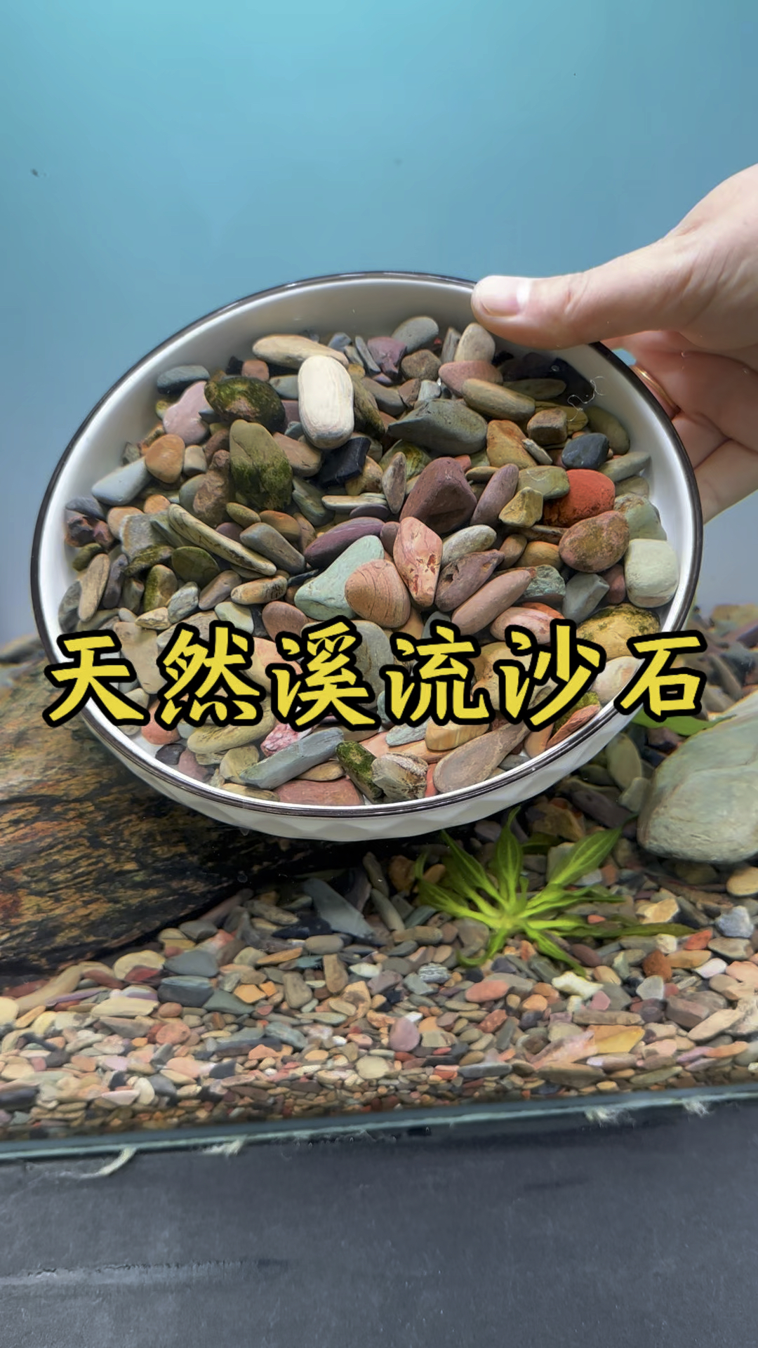 鱼缸造景溪流沙石,鱼儿的游乐园