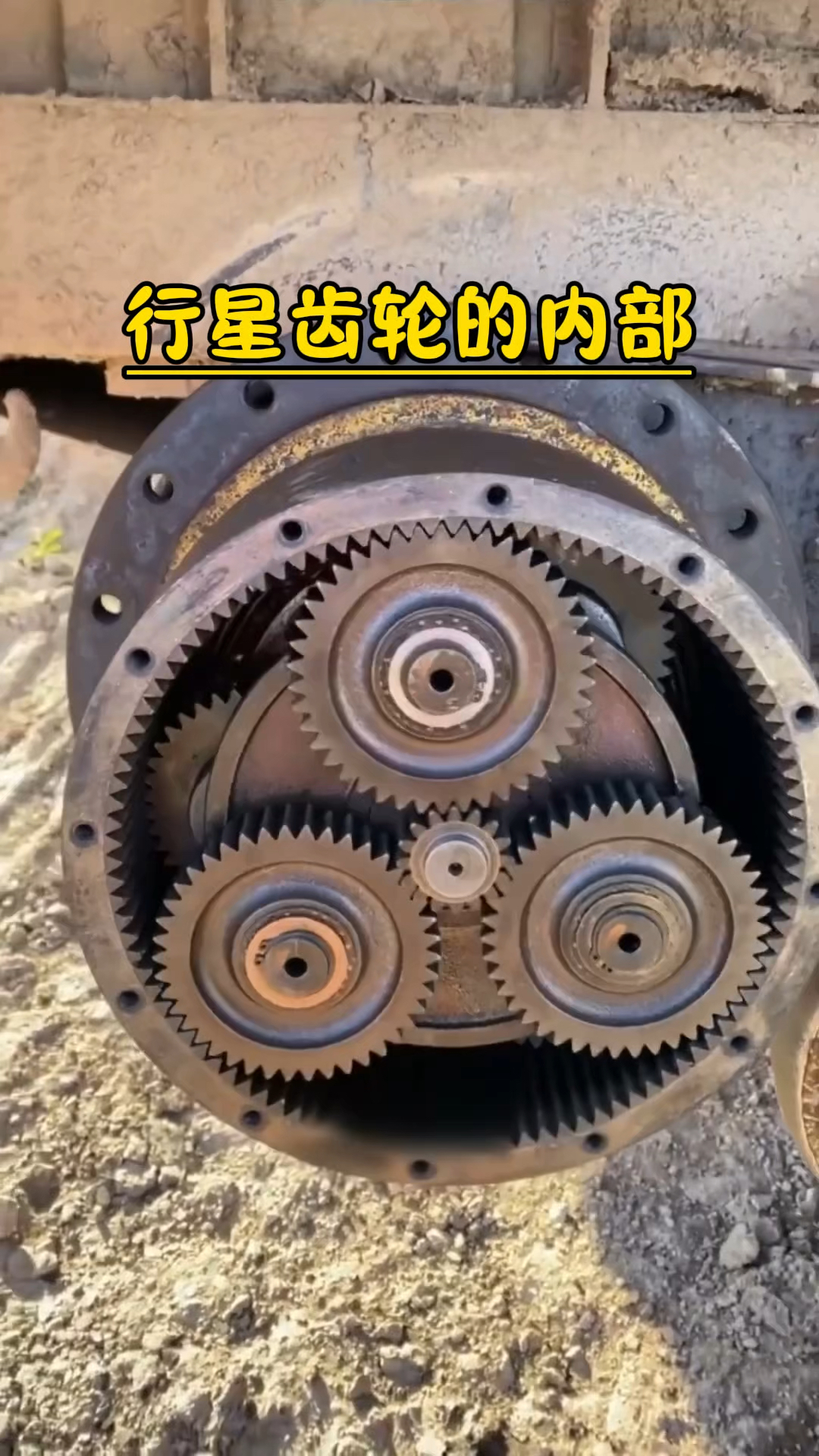 行星齿轮的内部结构