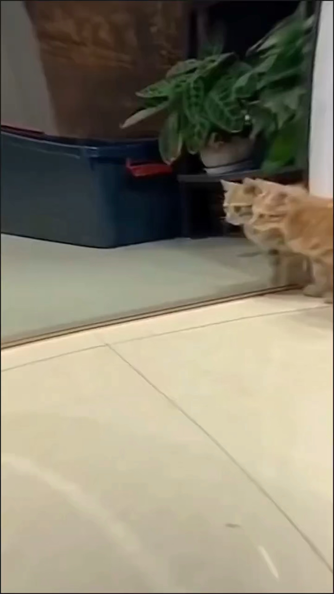 哎呀!妈呀!吓死我了