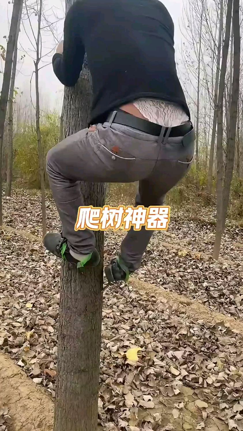 农村小伙自制的爬树神器,上树方便不打滑,爬树就像走路一样轻松