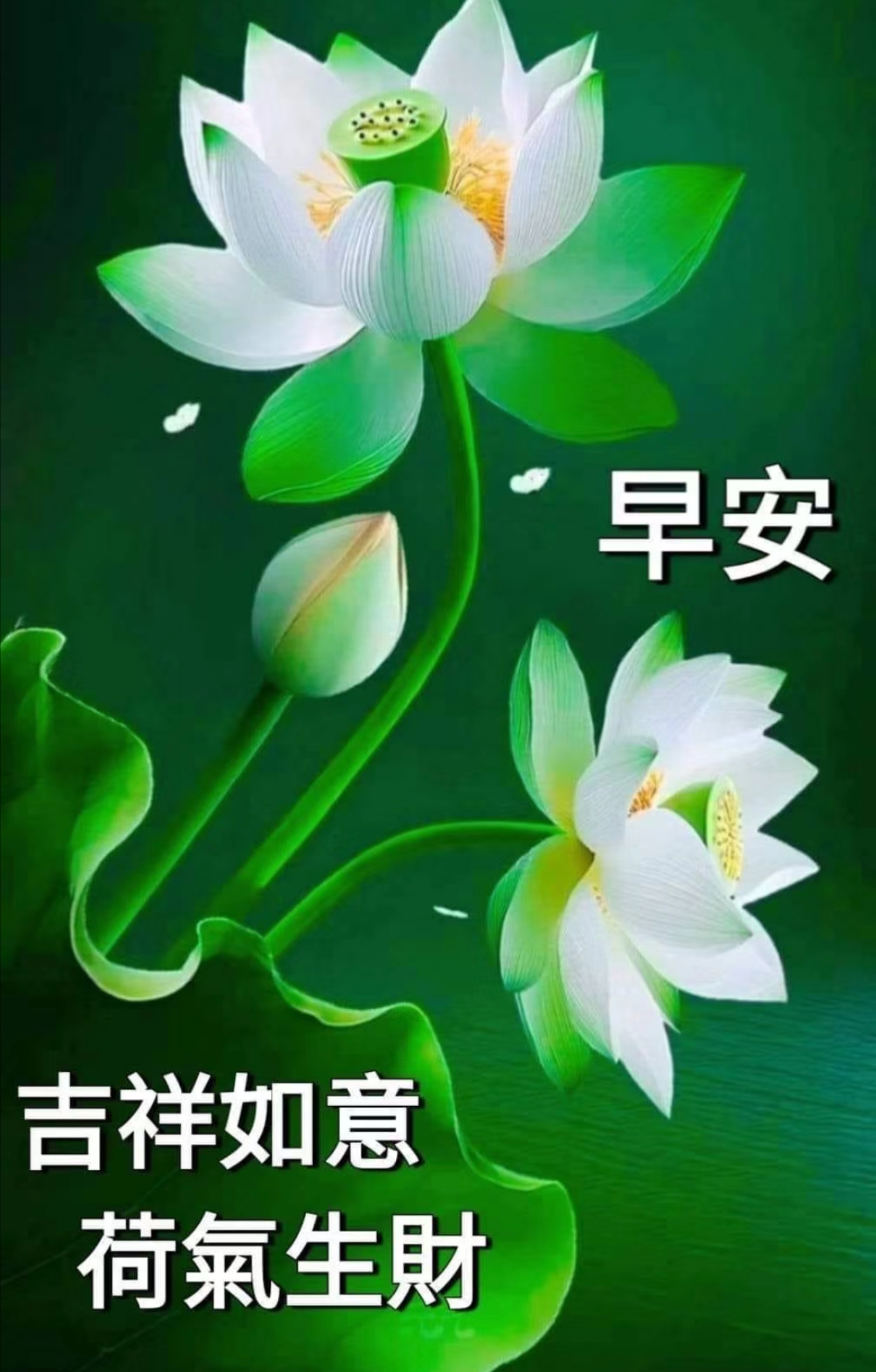事事如意一切顺利!吉祥早安图片,早上好问候图片,早安愉快!