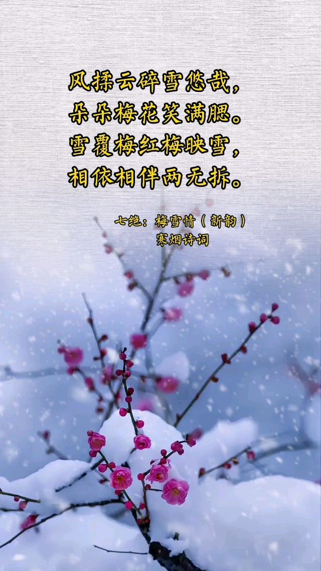 梅花欢喜漫天雪PPT图片