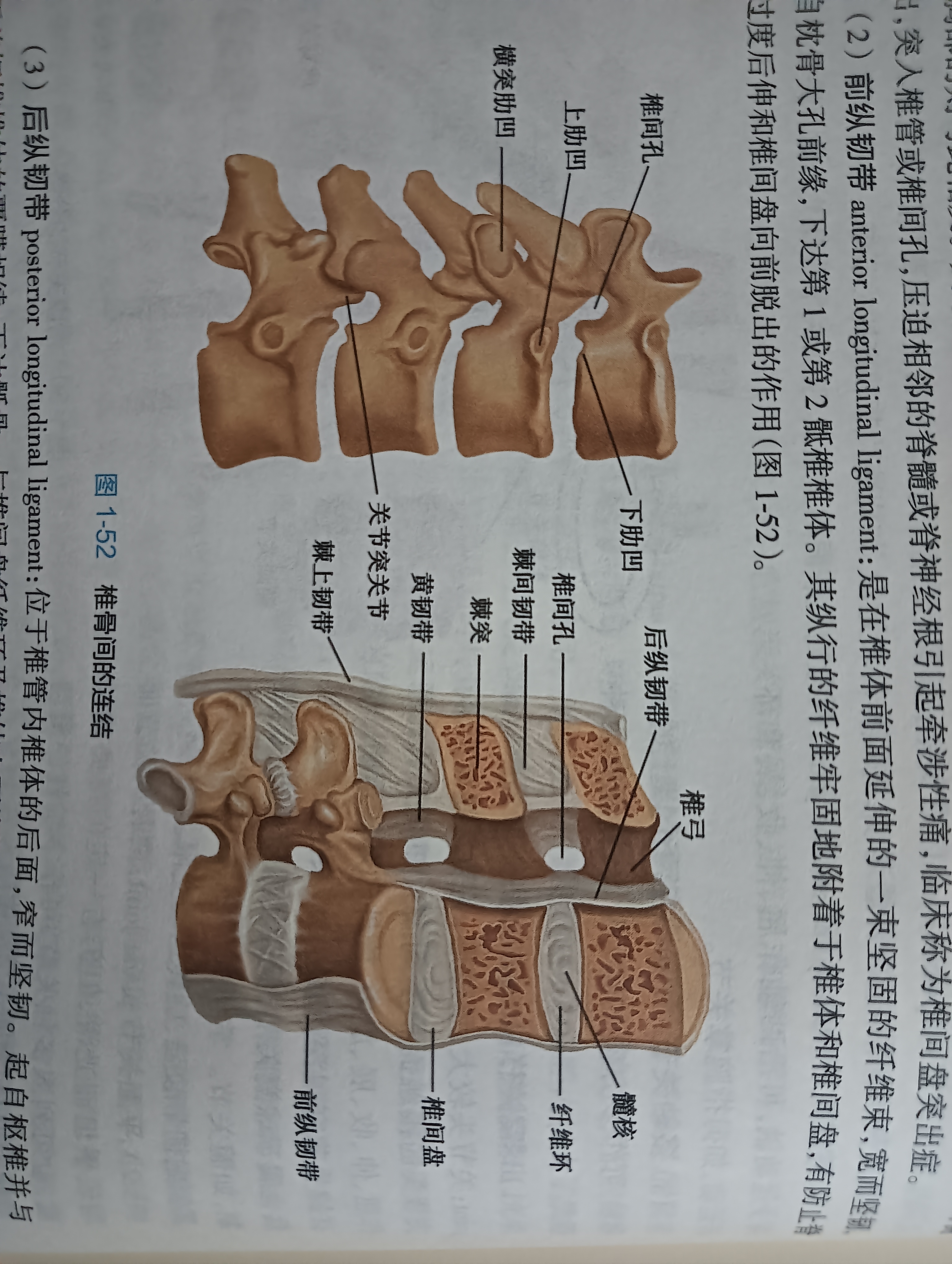 学点小知识