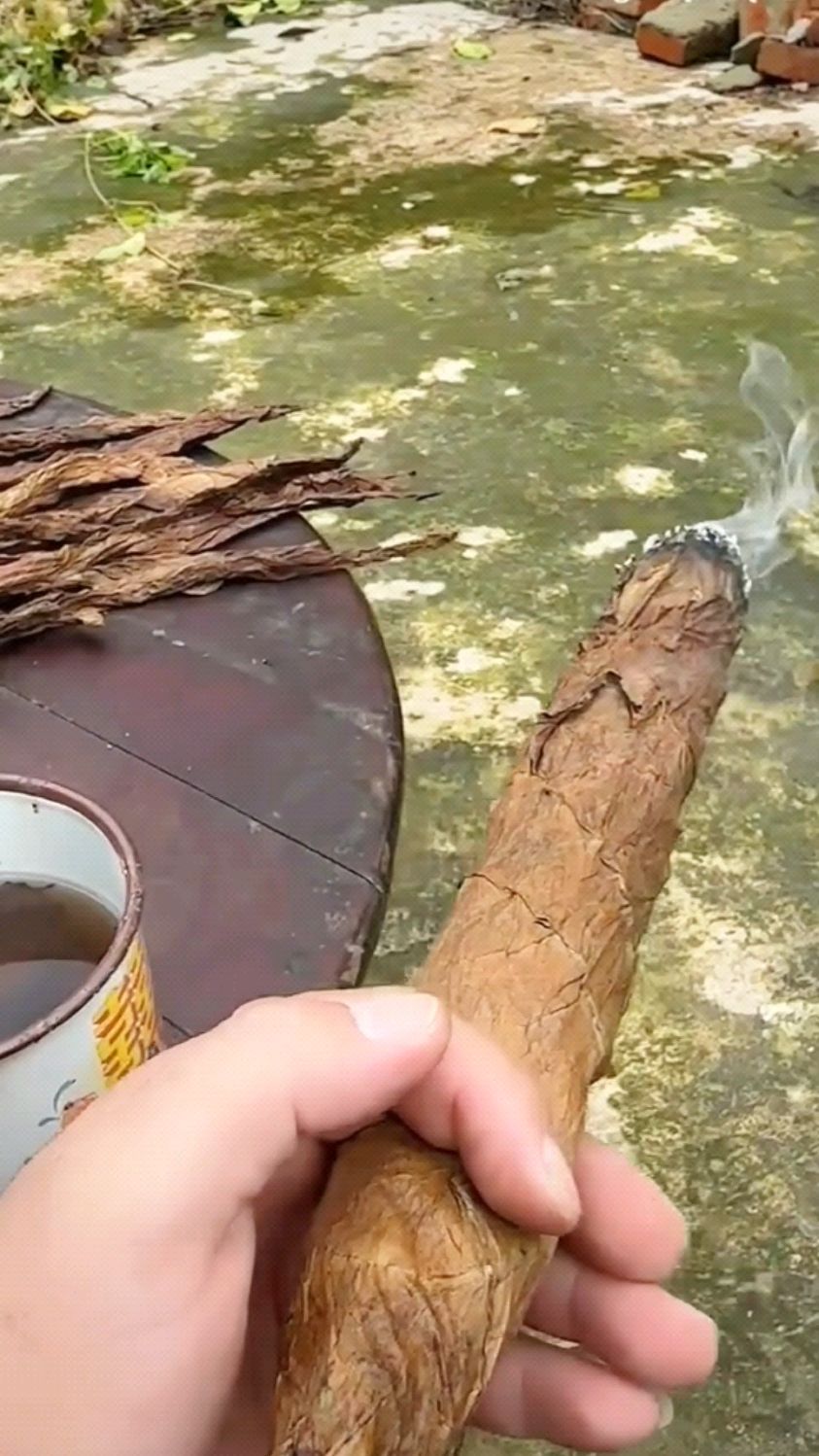 吃叶子烟已经是好多年前看见过了,这个烟很呛鼻子.