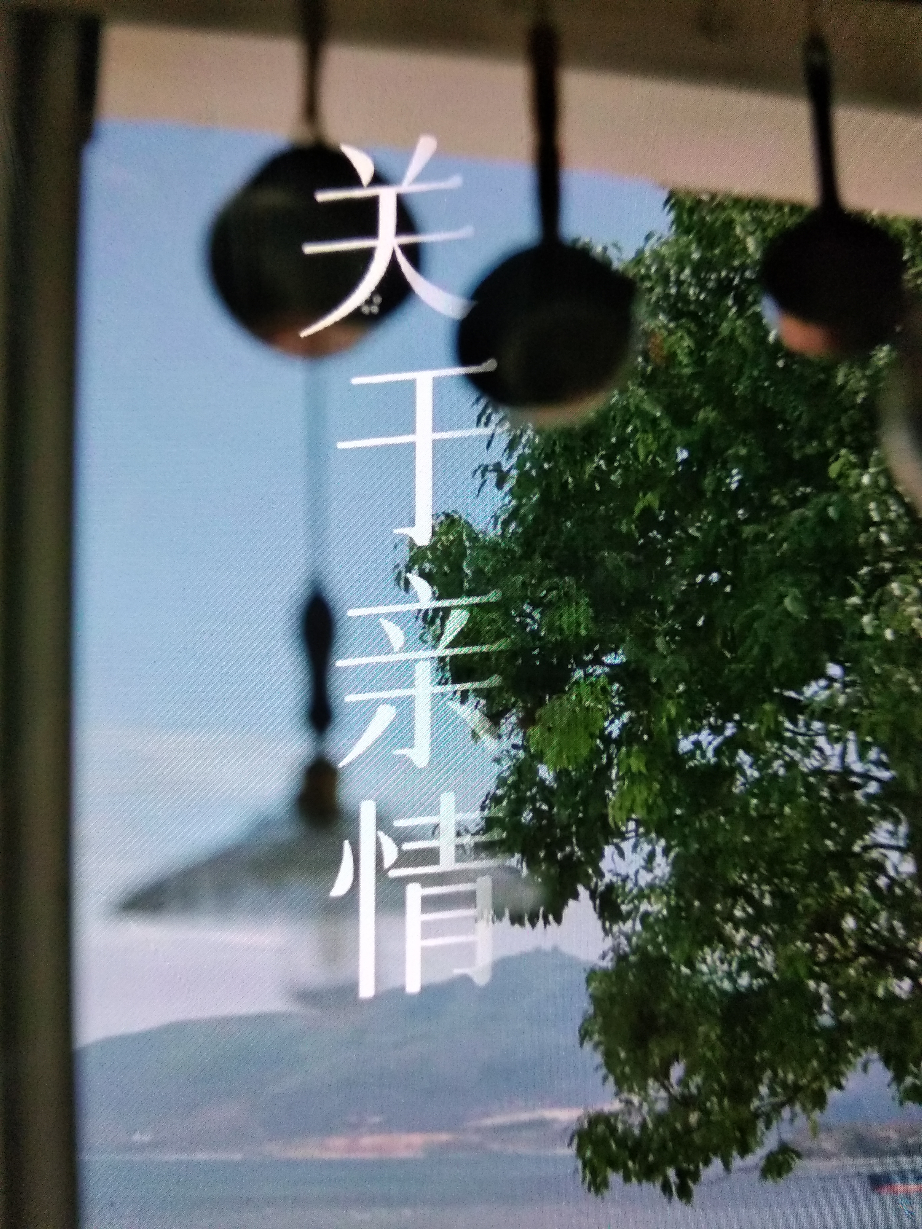 人到中年才渐渐体会到了亲情的淡薄往往伤害你最深的是