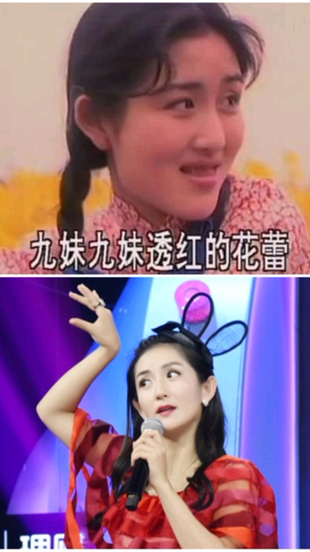 谢娜《九妹九妹》
