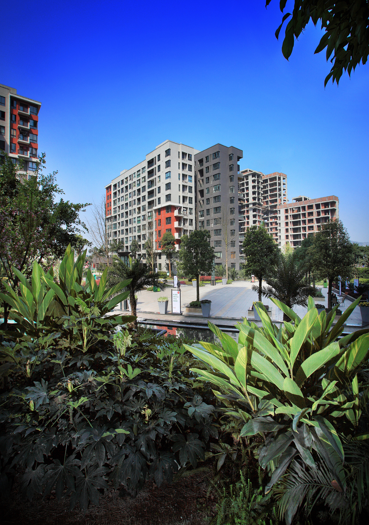 这两天儿子儿媳妇两个人一直在吵架!