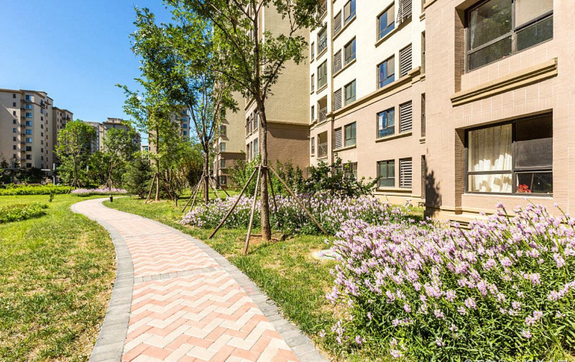 年底儿子要结婚了,我们家庭不富裕,婚房买不起,然后