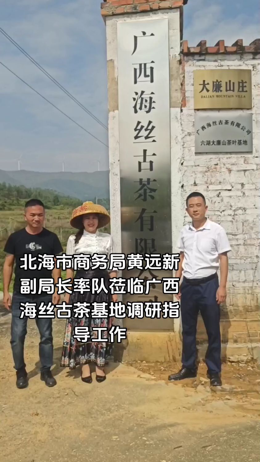 北海市商务局副局长黄远新赴广西海丝古茶六湖大廉山茶叶基地调研