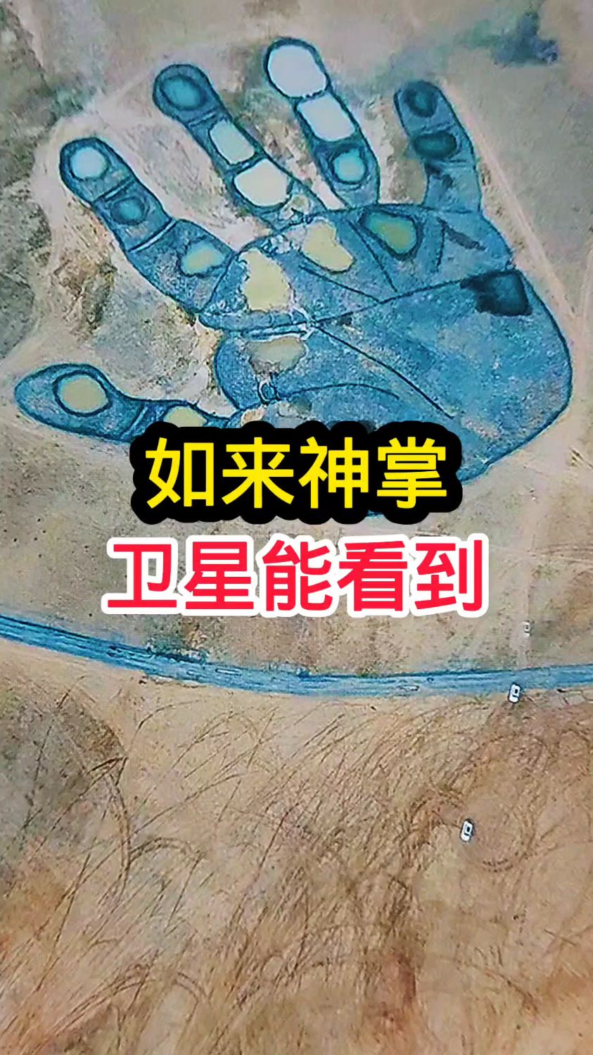 如来神掌,看到真实样子了