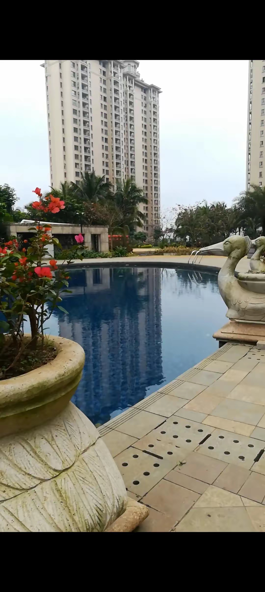 康餬小區保利椰子溏海南三亚圣芭芭拉 世纪花园安厦世纪城安怡园图片