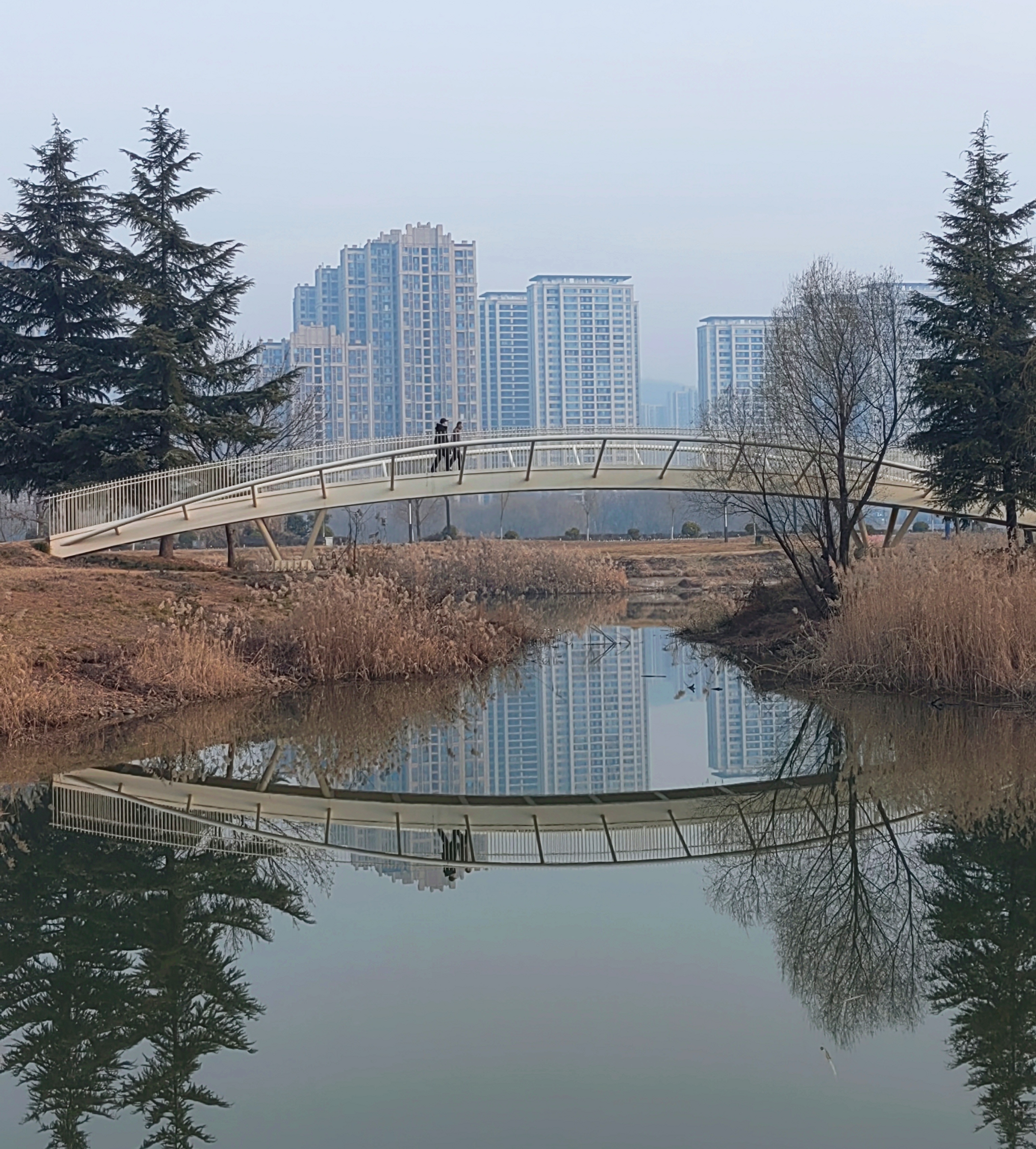 宝鸡高新渭河生态体育公园湖中景色