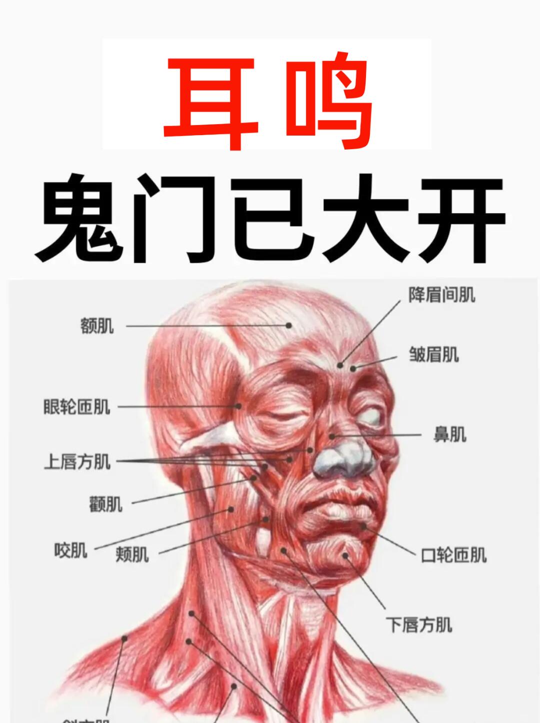 耳鸣烦恼的说说大全的简单介绍