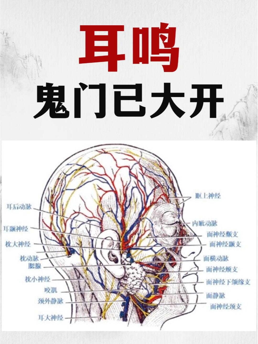 在中医古籍里有记载称耳鸣与鬼门相关