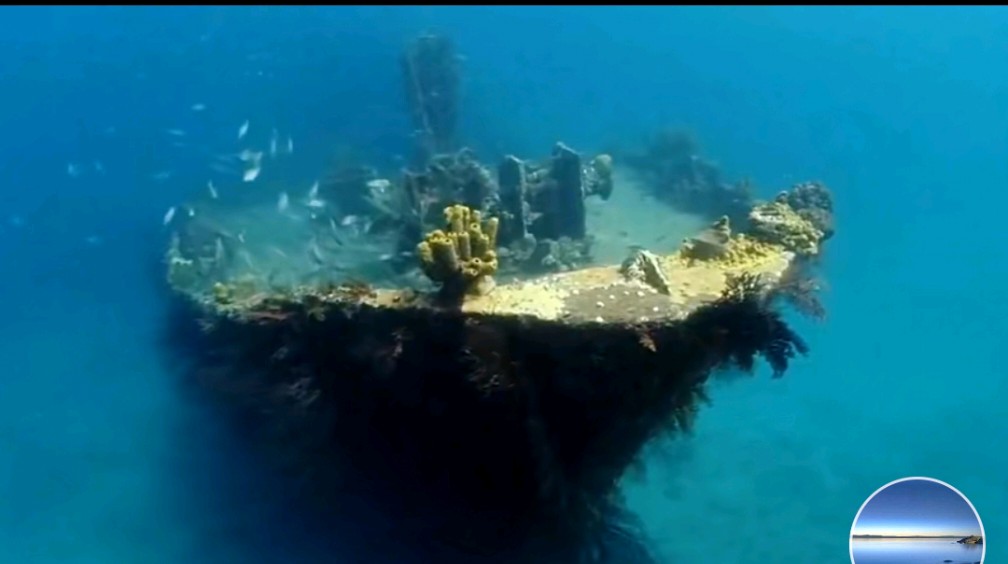 《马尾藻海:神秘恐怖,海船有去无回之谜》