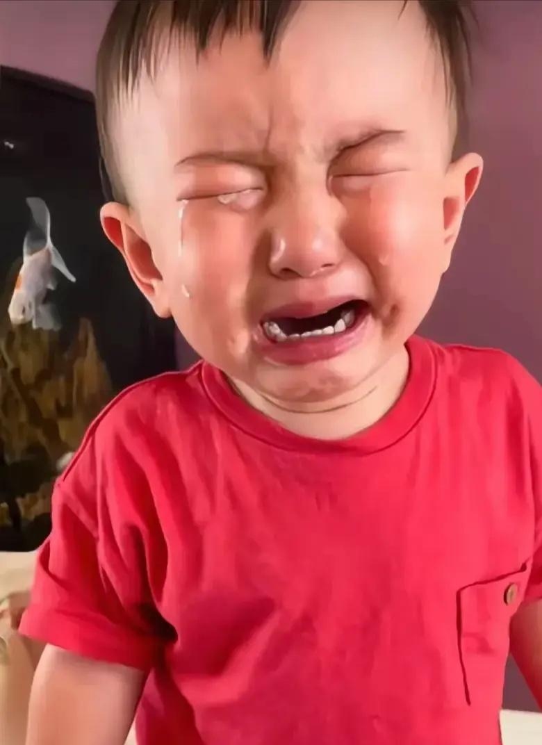 照片挨揍的娃小男孩哭流泪奶奶骑车摔倒鸡蛋全碎了  小男孩哭小男孩
