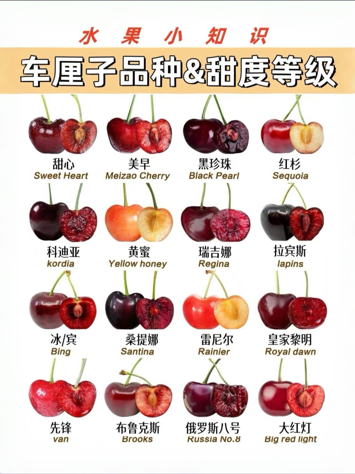 车厘子选购品种全攻略,记得收藏,方便选购!